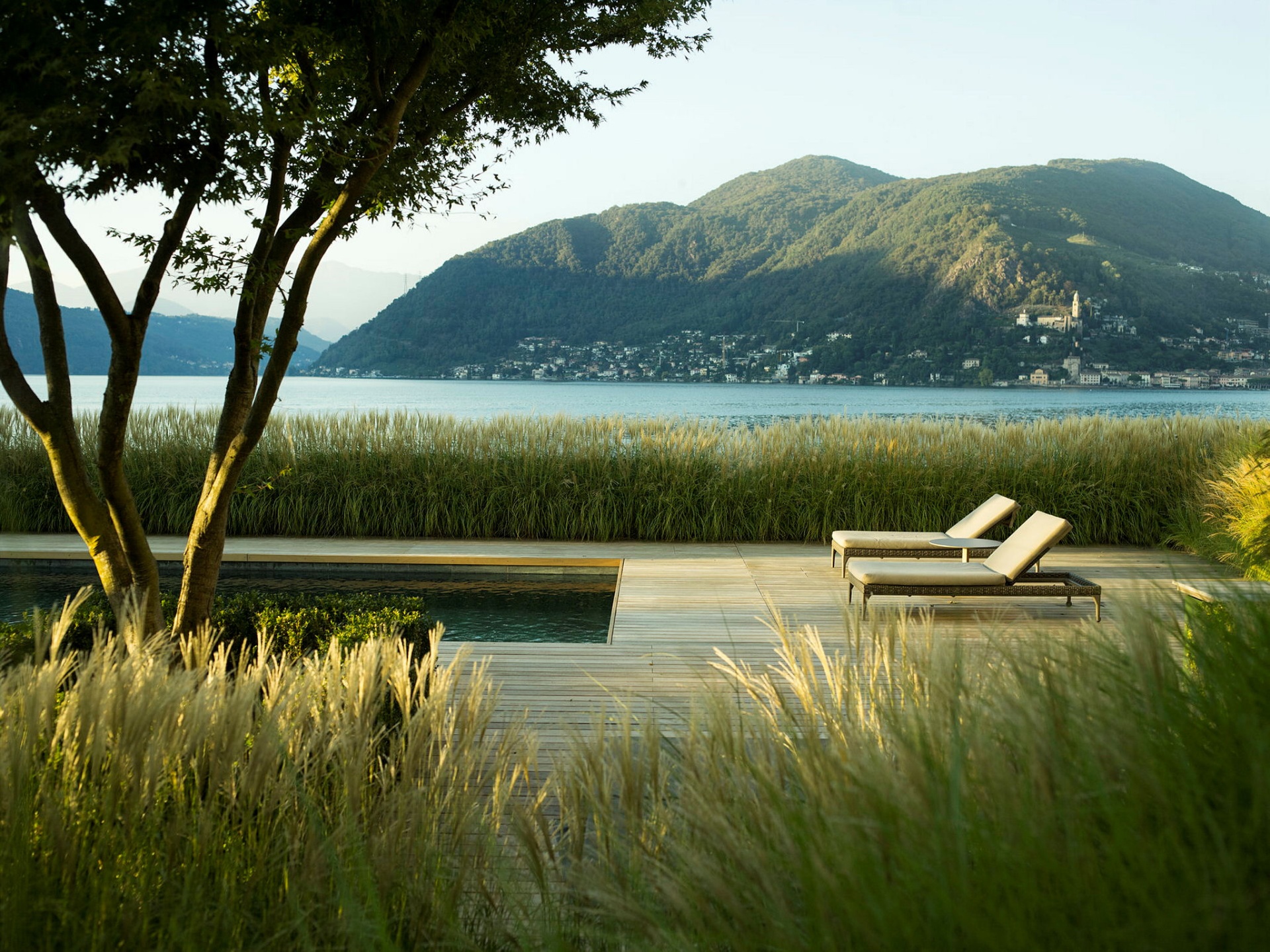 Enea Landscape Architecture — mature trees and ornamental grasses framing a lakeside garden